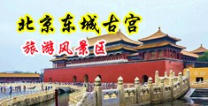 荡妇色骚综合网中国北京-东城古宫旅游风景区